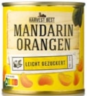 Mandarin-Orangen von Harvest Best im aktuellen Netto mit dem Scottie Prospekt
