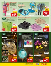 Kühlbox im Netto Marken-Discount Prospekt in Rosenheim Aktueller Netto Marken-Discount Prospekt mit Kühlbox, "Aktuelle Angebote", Seite 39