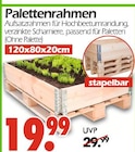 Palettenrahmen bei Wreesmann im Czorneboh Prospekt für 19,99 €