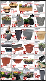 Aktueller Wreesmann Prospekt mit Pfanne, "DEIN SAISON- & SONDERPOSTENMARKT!", Seite 10