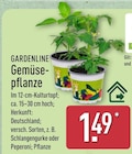 Gemüsepflanze von Gardenline für 1,49 € bei ALDI Nord im Angebot Gemüsepflanze von Gardenline im aktuellen ALDI Nord Prospekt