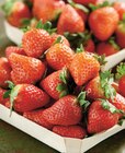 Intermarché Contact Alzonne - Promo Fraise Ronde Promo Fraise Ronde à 2,99 € dans le catalogue Intermarché Contact à Alzonne
