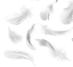 Taschentücher von K-CLASSIC für 0,85 € bei Kaufland im Angebot Taschentücher von K-CLASSIC im aktuellen Kaufland Prospekt