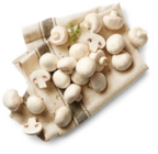 Kaufland Hohen Neuendorf - Poln./kroat. Kulturchampignons, weiß Angebot im Prospekt Poln./kroat. Kulturchampignons, weiß bei Kaufland im Hohen Neuendorf Prospekt für 1,00 €