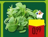 Mâche dans le catalogue Aldi