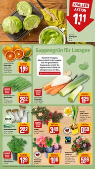 Narzissen im REWE Prospekt "Dein Markt" mit 28 Seiten (Frankfurt (Main))