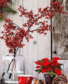 Beeren-Zweig bei porta Möbel in Hürth Beeren-Zweig im Angebot bei porta Möbel Hürth für 5,95 €