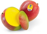Mango Angebot in Bad Liebenwerda Mango im aktuellen Prospekt bei Netto Marken-Discount in Bad Liebenwerda