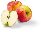 Aktuelle Äpfel Angebote bei Netto Marken-Discount in Würzburg Aktuelles Äpfel Angebot bei Netto Marken-Discount in Würzburg ab 2,49 €