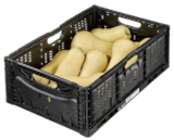 Aktuelles Kürbis Butternut Angebot bei METRO in Hamm ab 1,44 €