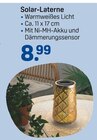 Solar-Laterne  im aktuellen Rossmann Prospekt für 8,99 €