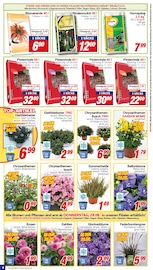 Blumenerde im CENTERSHOP Prospekt in Voerde Aktueller CENTERSHOP Prospekt mit Blumenerde, "Da geht was.", Seite 8