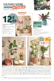 Prix et réduction Plante D'intérieur dans le prospectus Jardiland en cours Offre Plante D'intérieur dans le catalogue Jardiland du moment à la page 10