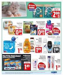 EDEKA Katzenfutter im Prospekt EDEKA Katzenfutter im Prospekt