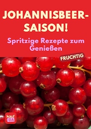 Rezepte Prospekt für Bad Salzuflen mit 1 Seite Rezepte Prospekt für Bad Salzuflen: "Johannisbeere", 1 Seite, 17.08.2026 - 02.09.2026