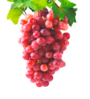 AOC Bordeaux rouge en promo chez Norma Verdun à 6,99 €