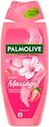 Duschcreme im Angebot bei Rusta in Kerpen Duschcreme Angebote von Palmolive bei Rusta Kerpen für 1,99 €