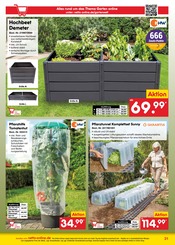 Aktueller Netto Marken-Discount Prospekt mit Pflanzen, "netto-online.de - Exklusive Angebote", Seite 33