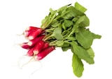 Radis rose à Lidl dans Anduze