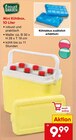 Aktuelles Mini Kühlbox 10 Liter Angebot bei Netto Marken-Discount in Trier ab 9,99 €