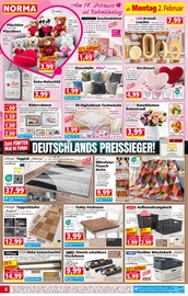 Kunstblumen im Norma Prospekt in Bayreuth Aktueller Norma Prospekt mit Kunstblumen, "Mehr fürs Geld", Seite 4