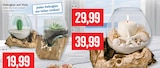 Dekoglas auf Holz Angebote bei Kaufhaus Stolz Greifswald für 19,99 €