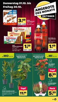 Coca Cola im Netto mit dem Scottie Prospekt "Günstig. Besser. Für Dich." mit 41 Seiten (Rostock)