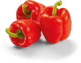 Paprika rot Angebote bei Netto Marken-Discount Monheim für 1,35 €