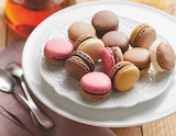 Macarons chocolatés x12 dans le catalogue Netto