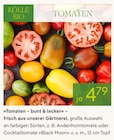 Aktuelles Tomaten Angebot bei Pflanzen Kölle in Berlin ab 4,79 €