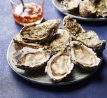Huitre speciale cote de nacre - Bi1 à Annemasse Huitre speciale cote de nacre en promo chez Bi1 Annemasse à 7,90 €