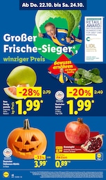 Lidl Tee im Prospekt Lidl Tee im Prospekt