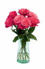 Aktuelle Pflanzen Angebote bei Netto Marken-Discount in Rostock Aktuelles Großköpfige Hochland Rosen Angebot bei Netto Marken-Discount in Rostock ab 4,44 €