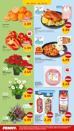 Blumen im Penny Prospekt in Stuttgart Aktueller Penny Prospekt mit Blumen, "Wer günstig will, muss Penny.", Seite 34