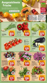 Dekoration im REWE Prospekt in Suhl Aktueller REWE Prospekt mit Dekoration, "Dein Markt", Seite 7