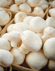 Champignon blanc de Paris à Netto dans Montrond Champignon blanc de Paris à Netto dans Montrond