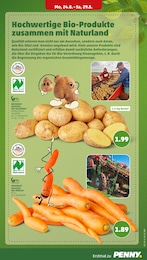 Kartoffeln Angebot im aktuellen Penny Prospekt auf Seite 7