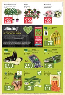 Pilze im Marktkauf Prospekt "Top Angebote" mit 44 Seiten (Hamburg)