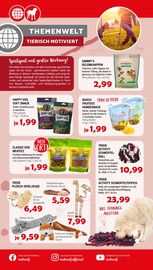 Spielwaren im Zookauf Prospekt in Hagen Aktueller Zookauf Prospekt mit Spielwaren, "ALLES FÜR ZUFRIEDENE SAMTPFOTEN UND MEHR", Seite 2