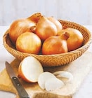 U Express Grand-Fougeray - Promo Oignon Promo Oignon à 2,79 € dans le catalogue U Express à Grand-Fougeray