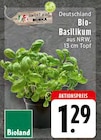 Bio-Basilikum bei EDEKA im Nachrodt-Wiblingwerde Prospekt für 1,29 €