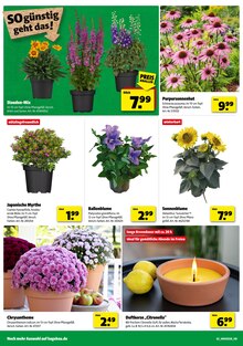 Hagebaumarkt Prospekt der KW 27 "SO günstig geht das!" Aktueller Hagebaumarkt Prospekt "SO günstig geht das!" Seite 2 von 16 Seiten