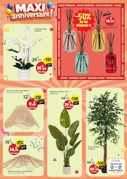 Offre Plante D'intérieur dans le catalogue Maxi Bazar du moment à la page 9