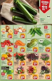 Blumen im REWE Prospekt "Dein Markt" mit 36 Seiten (Jena)