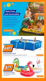 Pool Angebot im aktuellen Action Prospekt auf Seite 15
