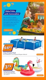 Pool im Action Prospekt in Oberhausen Aktueller Action Prospekt mit Pool, "kleine Preise, grosse Freude!", Seite 15