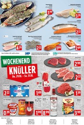 Forelle im EDEKA Prospekt in Krefeld Aktueller EDEKA Prospekt mit Forelle, "Aktuelle Angebote", Seite 8