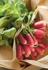 Promo Radis Rose à 1,38 € dans le catalogue Netto à Carhaix-Plouguer