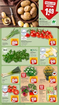 Kartoffeln im REWE Prospekt "Dein Markt" mit 28 Seiten (München)
