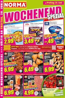 Bäume Angebot im aktuellen Norma Prospekt auf Seite 19